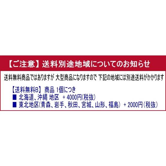 ＜櫻井・有吉the夜会 7月13日(木)放送されました＞　ツピタンサス 115cm 造花 観葉植物 CT触媒 消臭 抗菌 人工観葉植物（重要：送料 別途地域あり） EIM1336278791(12870円)