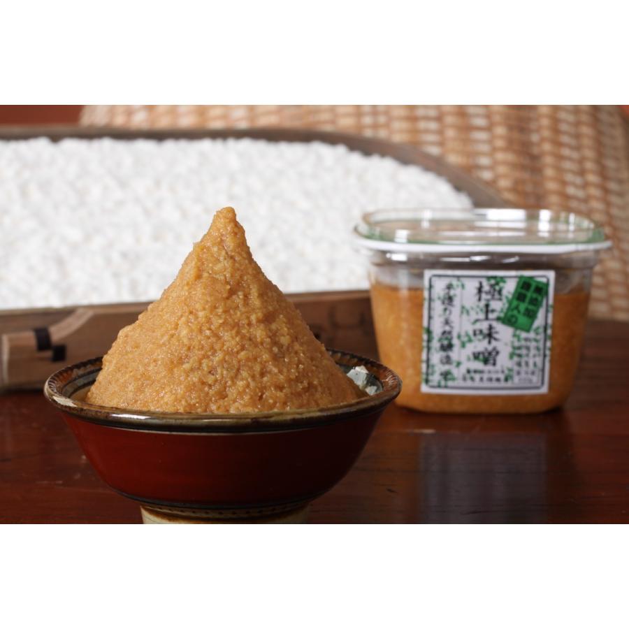 【石黒種麹店 公式】極上味噌650ｇ《明治28年創業の北陸唯一の種麹屋が手作り麹をふんだんにつかった、天然醸造、手作りにこだわった無添加味噌》 | 