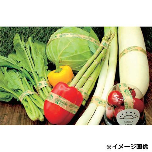 紙の野菜テープ 18mm幅×100ｍ 100巻_1
