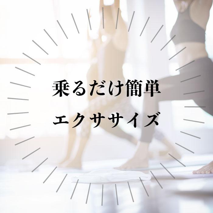 送料無料】バランスボード サーフィン エクササイズ ダイエット