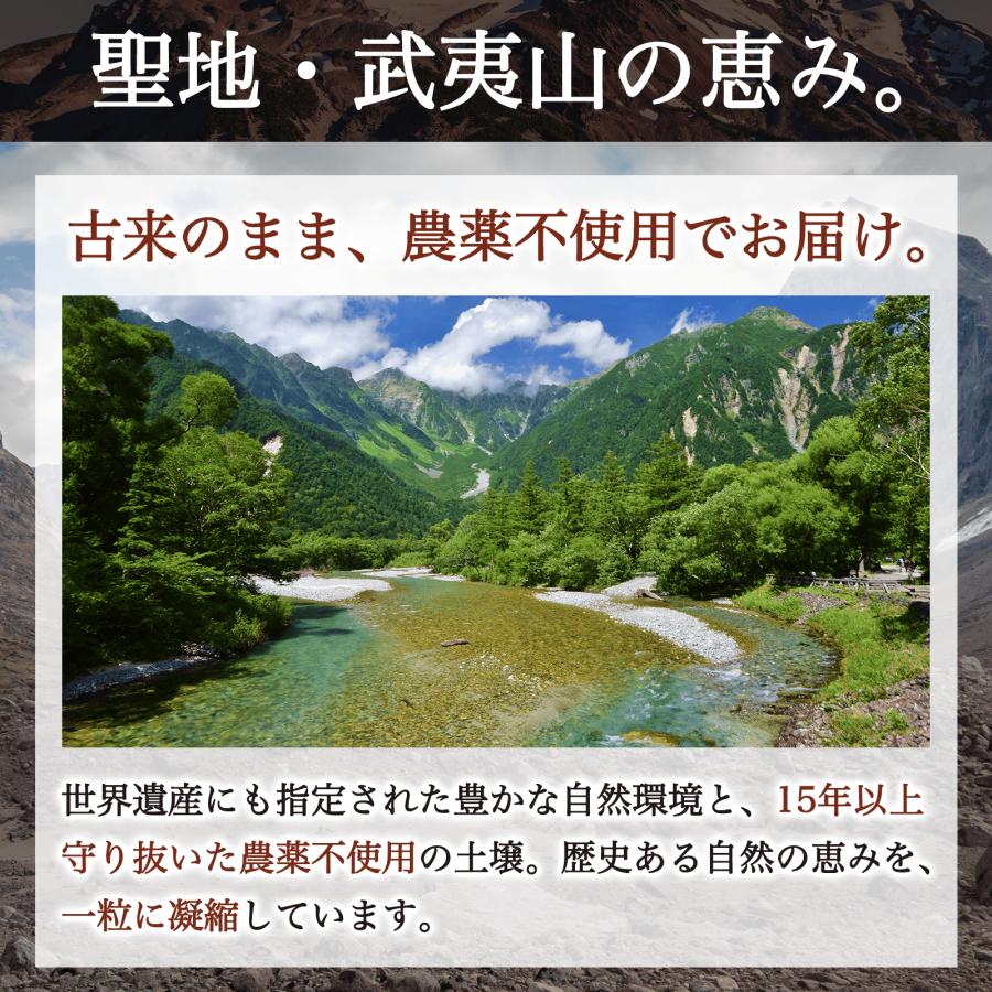 日本ケミスト 霊芝（れいし）リニューアル版 100粒 有機JAS認定霊芝 93 