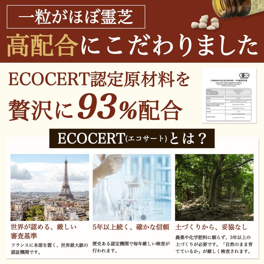 日本ケミスト 霊芝（れいし）リニューアル版 100粒 有機JAS認定霊芝 93