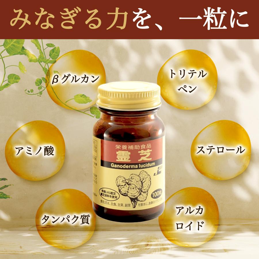 日本ケミスト 霊芝（れいし）リニューアル版 100粒 有機JAS認定霊芝 93