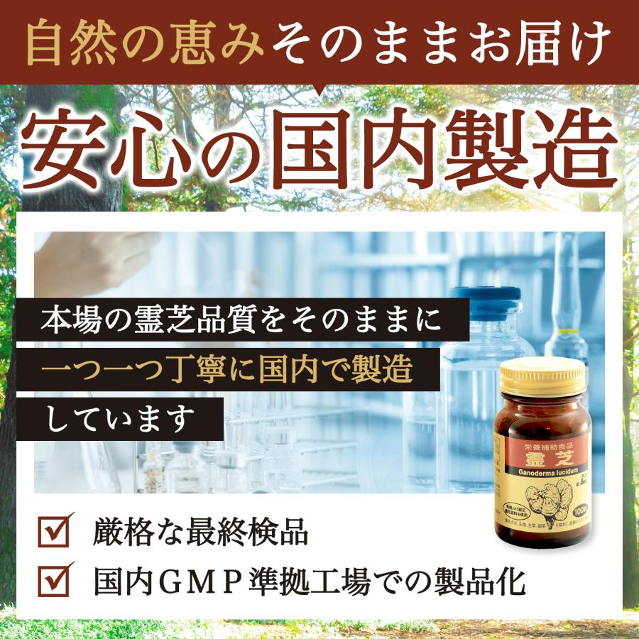 木製霊芝形如意共箱付き [B29423] 日本ケミスト 霊芝（れいし）リニューアル版 100粒 有機JAS認定霊芝 93
