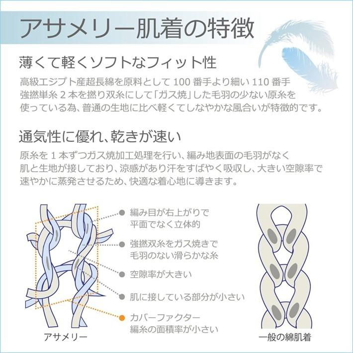 LL アサメリー U首 半袖 シャツ エジプト綿 肌着 アングル : いいもの