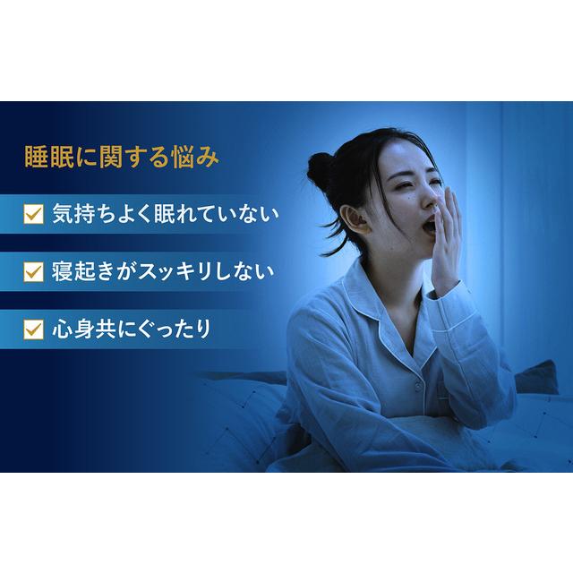 睡速1.0 枕 専用カバー付き まくら 丸洗い 洗濯可能 安眠 睡眠 睡速1.0 枕 専用カバー付き まくら 丸洗い 洗濯可能 安眠 睡眠