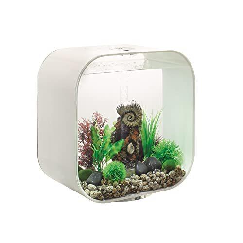 ○日本正規品○○日本正規品○biOrb（バイオーブ） ライフ 30L MCR