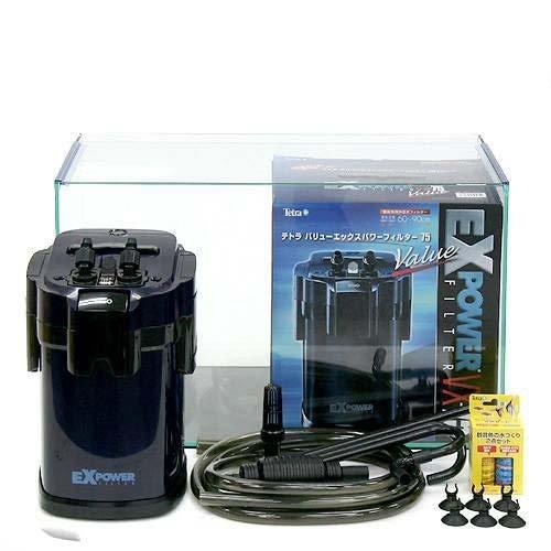 ６０ｃｍ水槽セット オールガラス水槽 アクロ６０ 外部フィルターｖｘ ７５ 初心者 Bhinternalmedicine Com