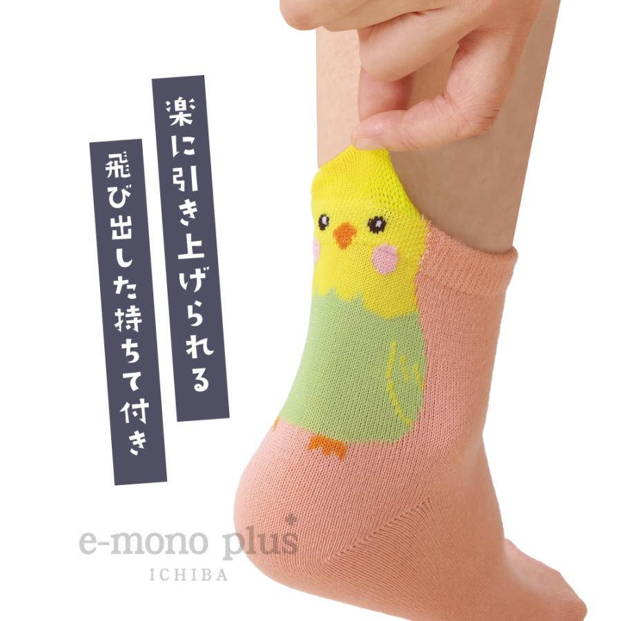 新柄登場！ 3足組【人気】ひょっこり可愛い小鳥ソックス キャラクター