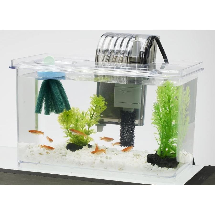 テトラ Tetra Ledミニエコライト アクアリウム メダカ 熱帯魚 金魚 ライト