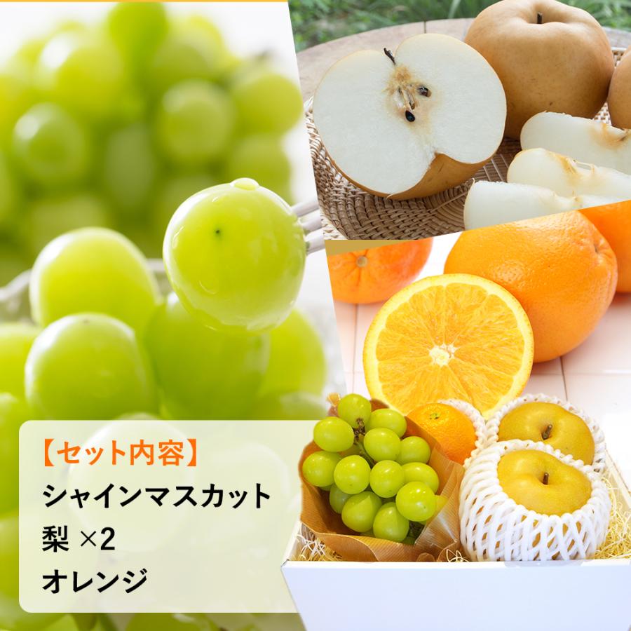 フルーツセット ( シャインマスカット 梨 オレンジ ) 旬のくだもの