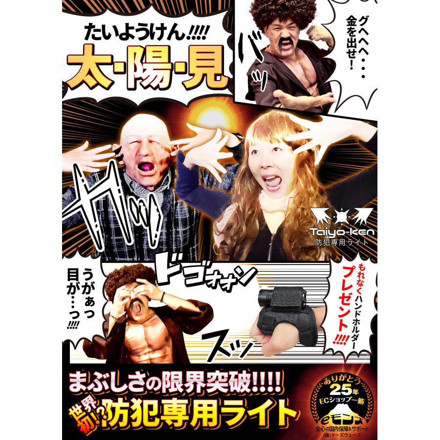 護身用 防犯 ライト 【 Taiyo-Ken 太陽見 】 ハンドライトホルダー付き ハンディライト 充電式 LED IPX8 防水 超高輝度 懐中電灯 熊対策 警備 捜索 救助 登山の画像