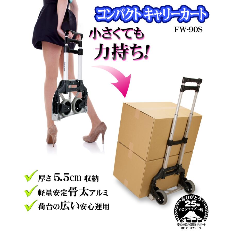 ★2ボールキャリー★ViSE★超美品★コンパクト★ SB155-DF 2ボールキャリーバッグ - ハイスポーツ社 ：信頼の