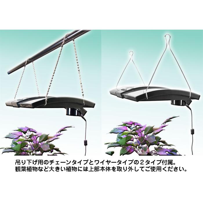 水耕栽培キット 植物育成 LEDライト付 吊下げ用チェーン ワイヤーフック 【 キッチンガーデン LED Kitchen Garden 】 野菜栽培キット エコ SDGs サステナブル｜e-monz｜05