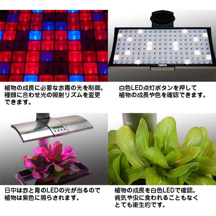 水耕栽培キット 植物育成 LEDライト付 吊下げ用チェーン ワイヤーフック 【 キッチンガーデン LED Kitchen Garden 】 野菜栽培キット エコ SDGs サステナブル｜e-monz｜07