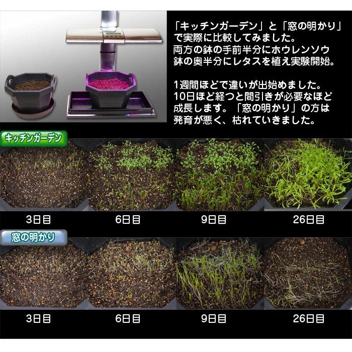 水耕栽培キット 植物育成 LEDライト付 吊下げ用チェーン ワイヤーフック 【 キッチンガーデン LED Kitchen Garden