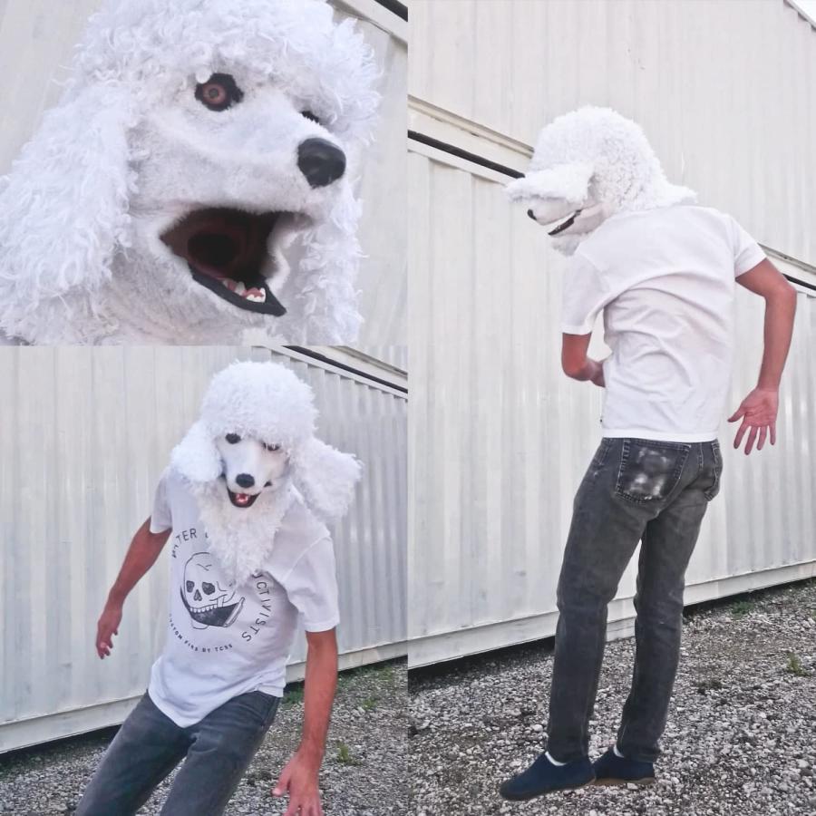 四足歩行 テディ トイプードル 犬 リアル 着ぐるみ コスプレ マスク 人