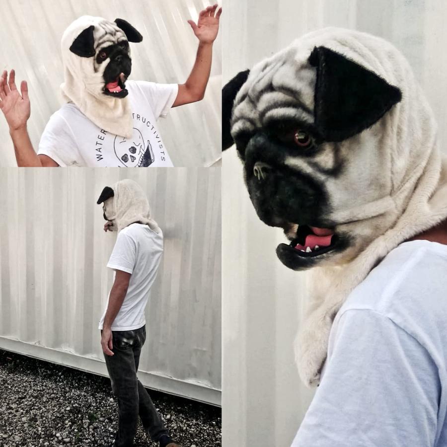 おパグさんマスク 【公式通販】