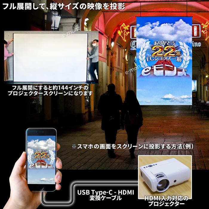 インボイス対応] プロジェクター 撮影用背景 【リバーシブルスクリーン