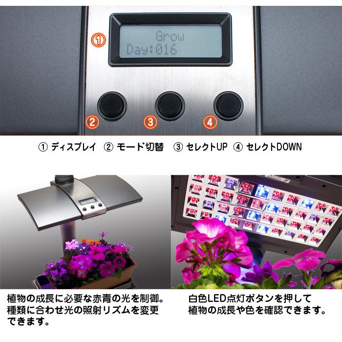 水耕栽培キット 植物育成 LEDライト付 省スペース型 コンパクト ミニサイズ 【 アーバンガーデン Urban Garden 】 栽培キット エコ SDGs サステナブル｜e-monz｜05