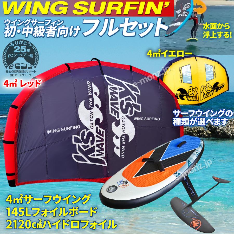 ウイングサーフィン 145Lセット 初・中級者 【 3点フルセット