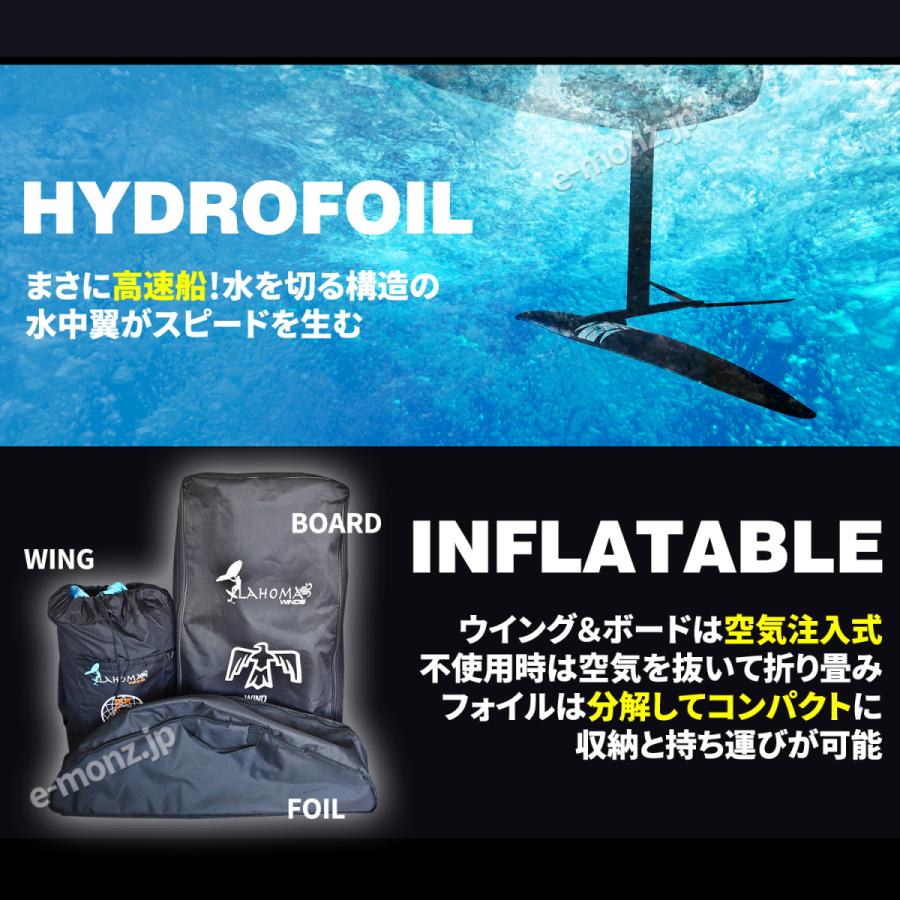 ウイングサーフィン用 ハイドロフォイル 【 F2120-584 2120平方 ウイングサーフィン用 ハイドロフォイル 【 F2120-584 2120平方