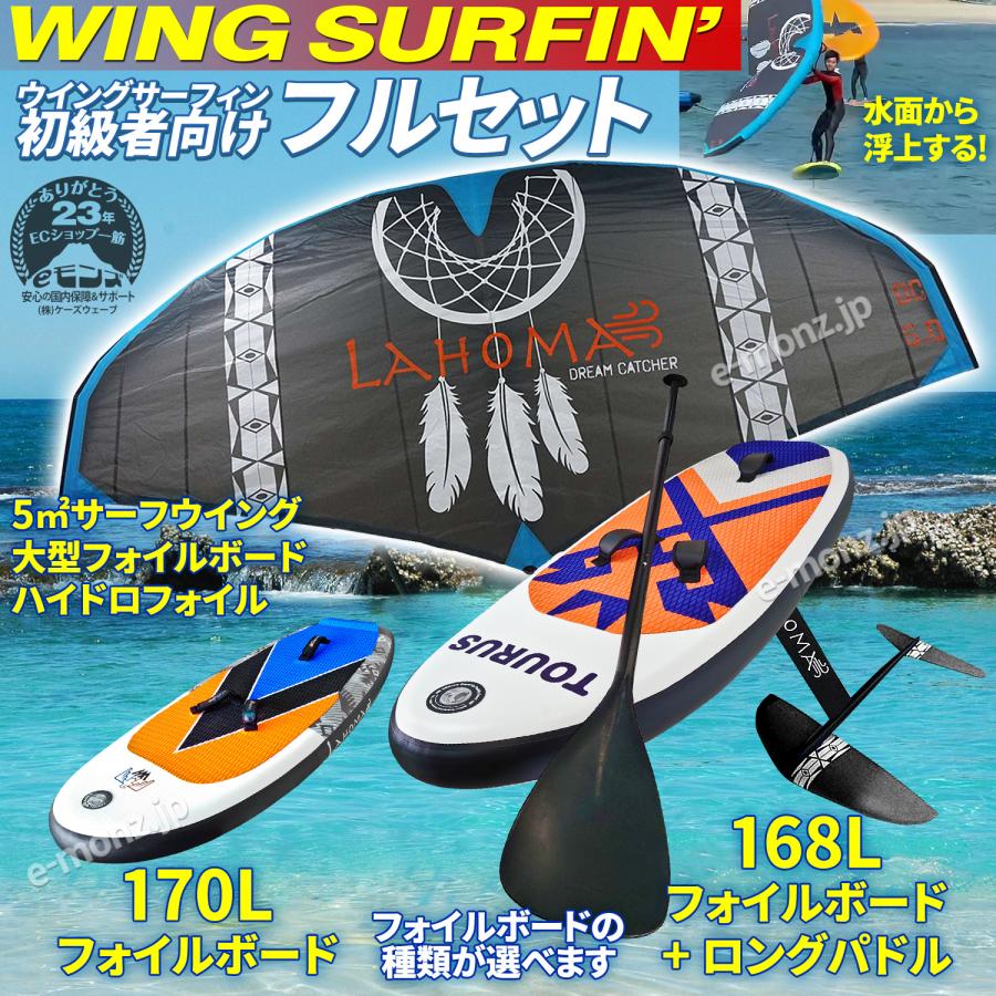 ウイングフォイル一式