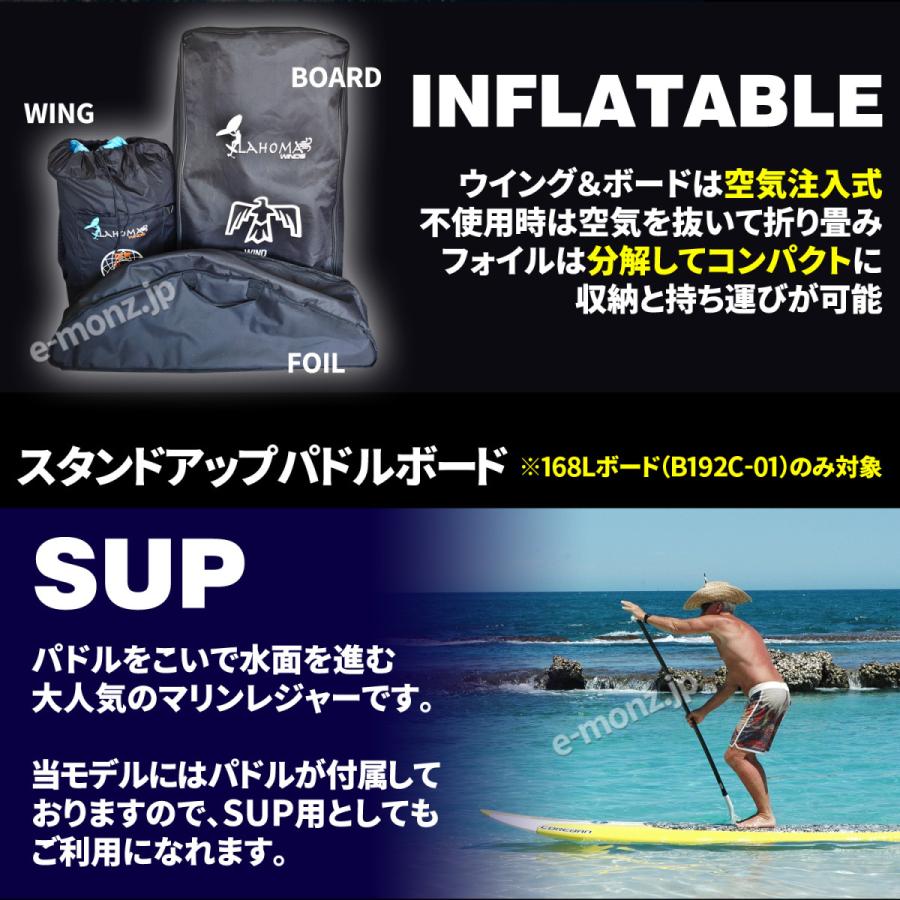 ウイングサーフィン 170L / 168Lセット 初級者 【 3点フルセット ウイングサーフィン 170L / 168Lセット 初級者 【 3点フルセット
