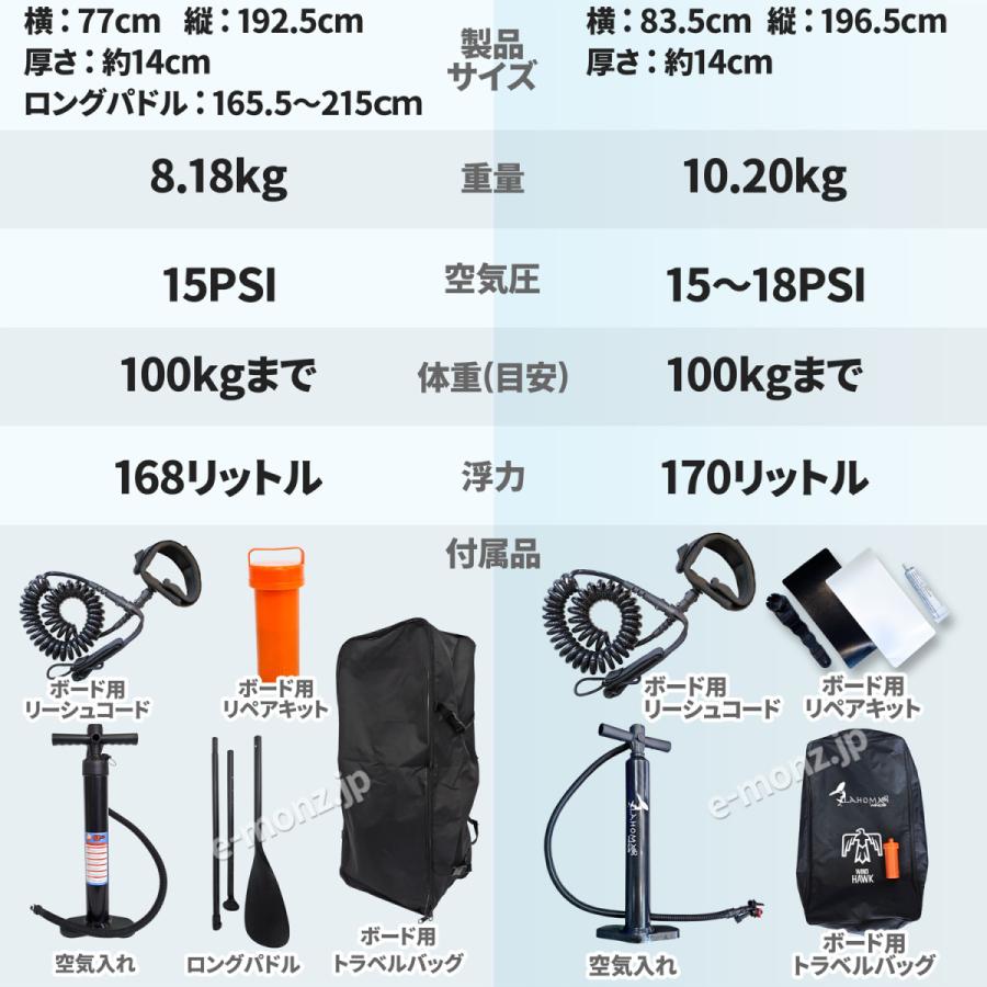 ウイングサーフィン 170L / 168Lセット 初級者 【 3点フルセット