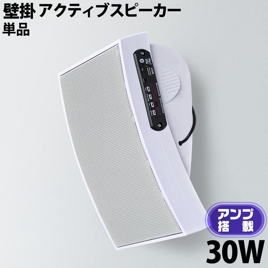 壁掛け アクティブ スピーカー 】 アンプ搭載 30W 1台 曲面