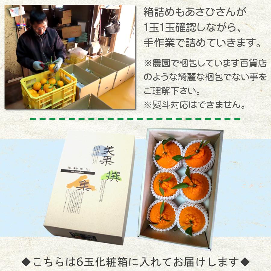 和歌山　デコポン　不知火　20kg デコポン 不知火（愛媛産）20Kgのお取り寄せ販売（通販）送料無料でお届け