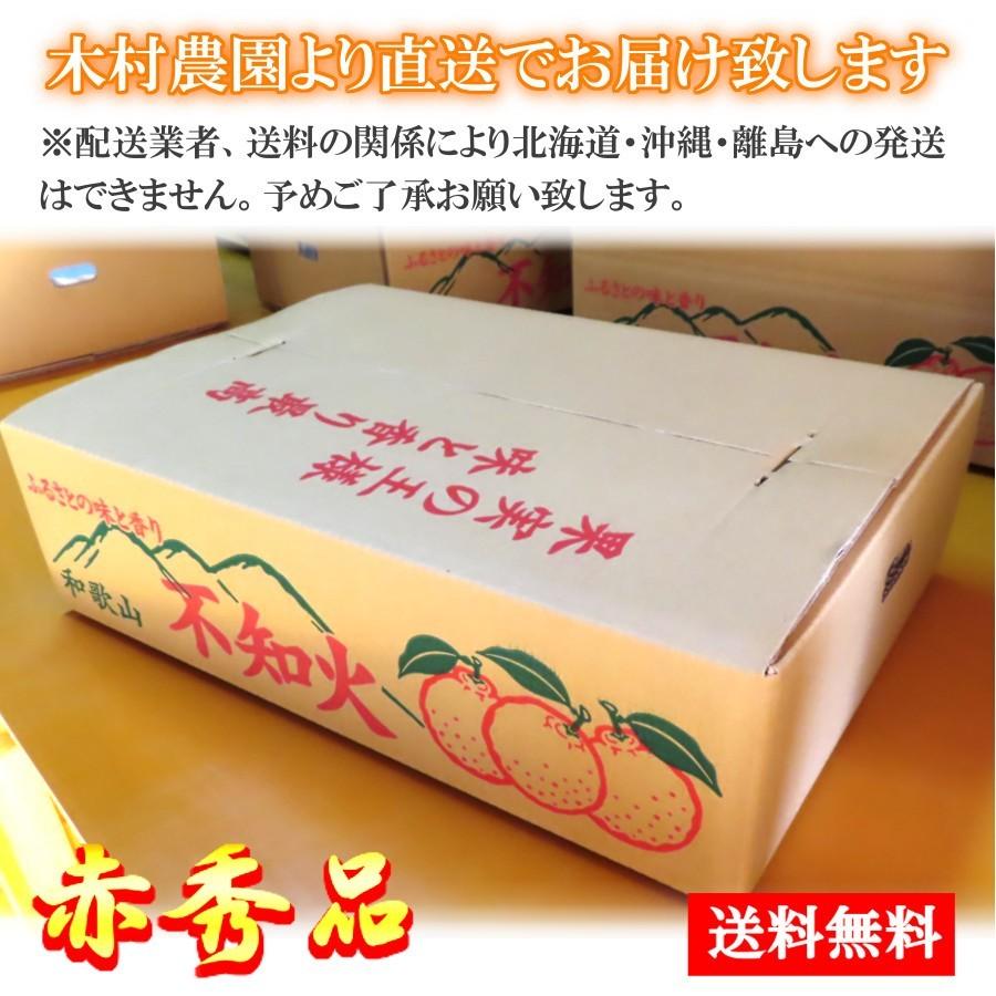 デコポン 完熟 木なり 農家直送 産地直送 5kg 通販 秀品 デコポン 完熟 木なり 農家直送 産地直送 5kg 通販 秀品
