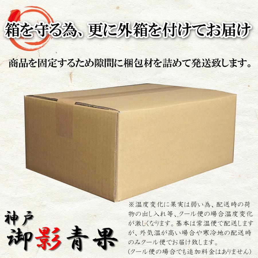 ビワ 大玉 甘い 淡路島 枇杷 赤秀 高級 化粧箱 通販 送料無料 6月 旬