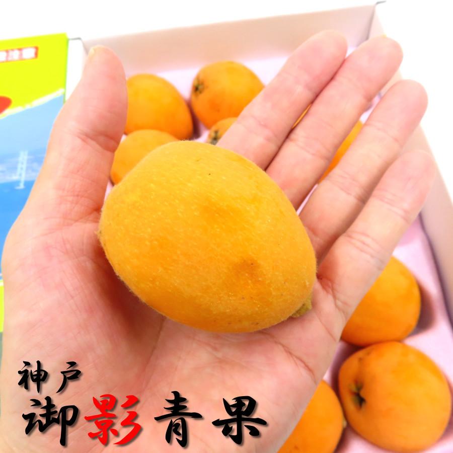 ビワ 大玉 甘い 淡路島 枇杷 赤秀 高級 化粧箱 通販 送料無料 6月 旬