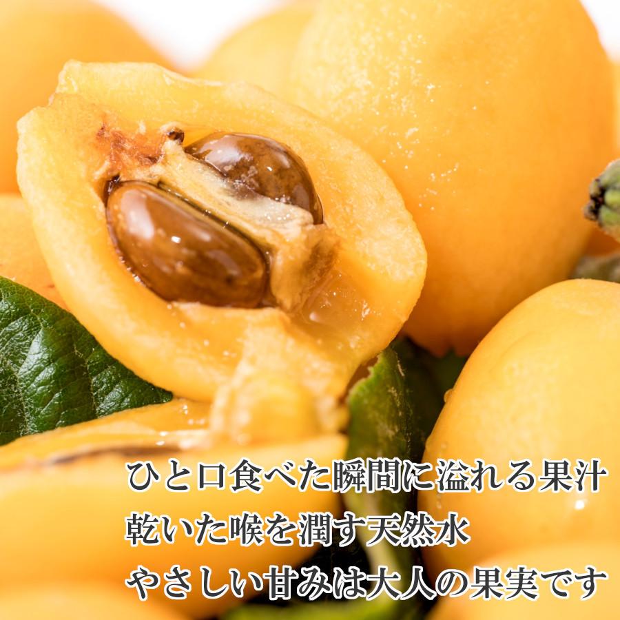ビワ 大玉 甘い 淡路島 枇杷 赤秀 高級 化粧箱 通販 送料無料 6月 旬