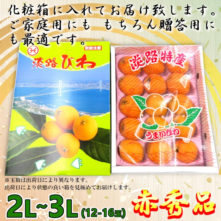 ビワ 大玉 甘い 淡路島 枇杷 赤秀 高級 化粧箱 通販 送料無料 6月 旬
