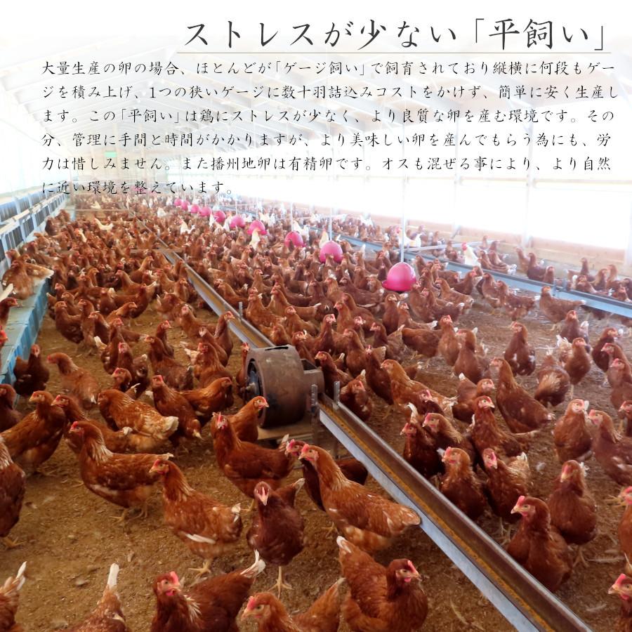 99 Off 農家直送 卵 平飼い 高級 放し飼い 産地直送 お中元 22 ギフト 食べ物 送料無料 卵かけご飯 つまめる卵 播州地卵 玉 Aynaelda Com