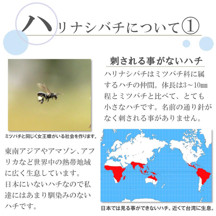はちみつ プロポリス 蜂蜜 2026 ギフト 無農薬 非加熱 低糖質 健康
