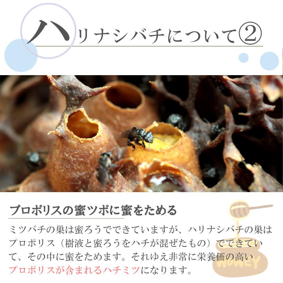 はちみつ プロポリス 蜂蜜 2026 ギフト 無農薬 非加熱 低糖質 健康