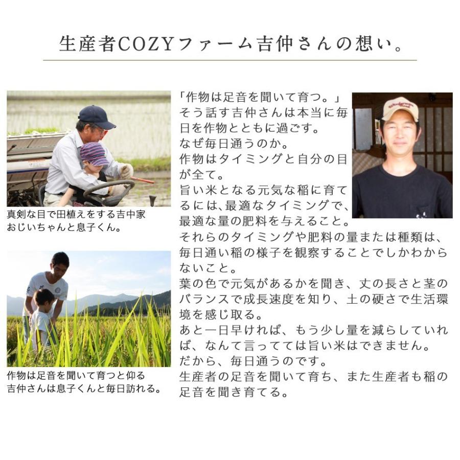ヒノヒカリ 令和4年 2022 新米 産地直送 玄米 白米 送料無料 ヒノヒカリ 令和4年 2022 新米 産地直送 玄米 白米 送料無料