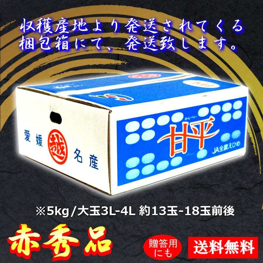 みかん 甘い 甘平 かんぺい 赤秀品 5kg 大玉 愛媛県産 越智今治