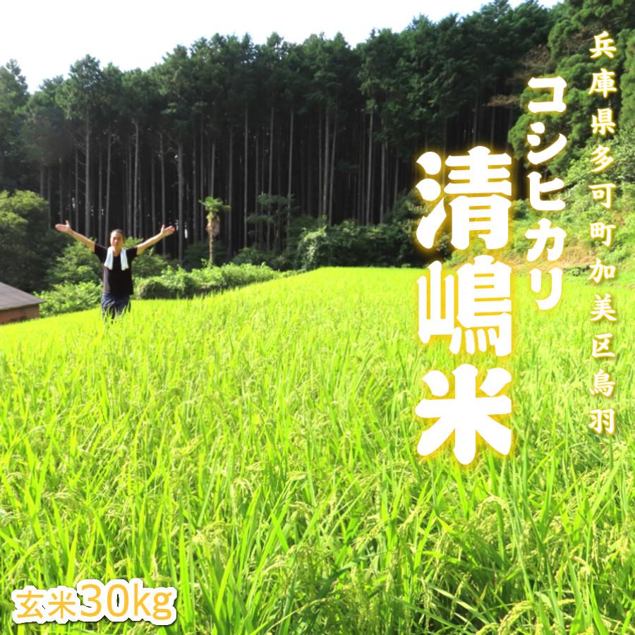 コシヒカリ 令和5年 2023 新米 30kg 玄米 白米 兵庫県産 お米 コシヒカリ 令和5年 2023 新米 30kg 玄米 白米 兵庫県産 お米