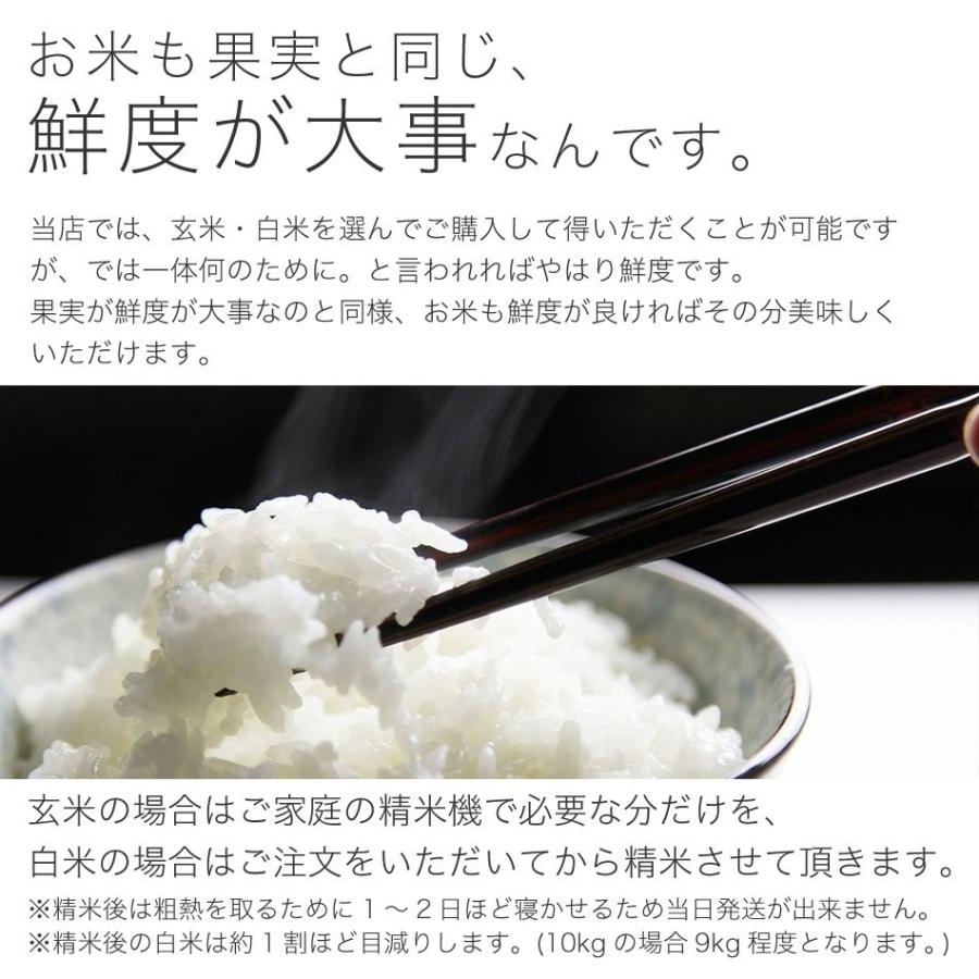 令和5年 2023 新米 コシヒカリ 30kg 玄米 白米 兵庫県産 お米 取り寄せ 通販 産地直送 送料無料 農家直送 減農薬 希少 ブランド米 清嶋米｜e-mpress｜11