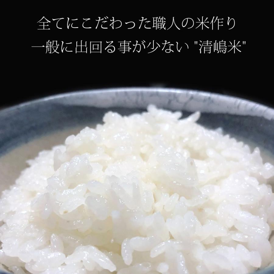 令和5年 2023 新米 コシヒカリ 30kg 玄米 白米 兵庫県産 お米 取り寄せ 通販 産地直送 送料無料 農家直送 減農薬 希少 ブランド米 清嶋米｜e-mpress｜02