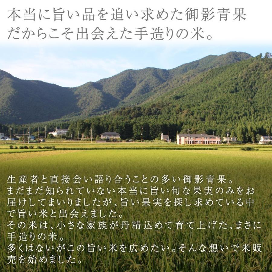 令和5年 2023 新米 コシヒカリ 30kg 玄米 白米 兵庫県産 お米 取り寄せ 通販 産地直送 送料無料 農家直送 減農薬 希少 ブランド米 清嶋米｜e-mpress｜03