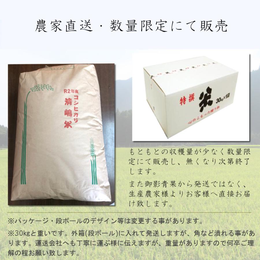 令和5年 2023 新米 コシヒカリ 30kg 玄米 白米 兵庫県産 お米 取り寄せ 通販 産地直送 送料無料 農家直送 減農薬 希少 ブランド米  清嶋米