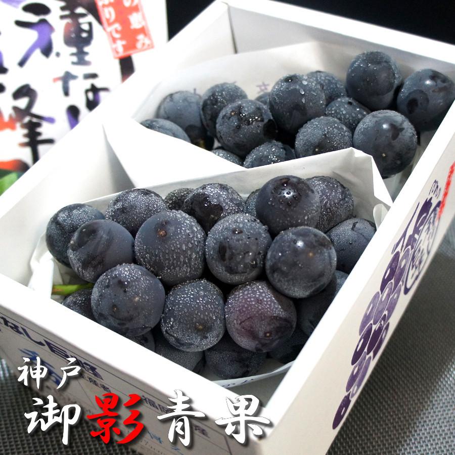 保存版 ブドウ 巨峰 甘い 御中元 22 食べ物 ギフト 種なし葡萄 大粒 黒木の巨峰 福岡県八女産 秀品 旬 果物 送料無料 通販 2房 Rmladv Com Br