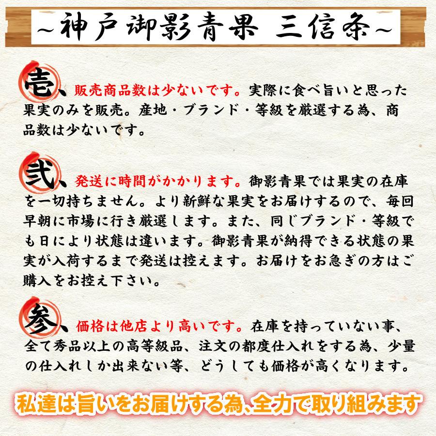 保存版 ブドウ 巨峰 甘い 御中元 22 食べ物 ギフト 種なし葡萄 大粒 黒木の巨峰 福岡県八女産 秀品 旬 果物 送料無料 通販 2房 Rmladv Com Br