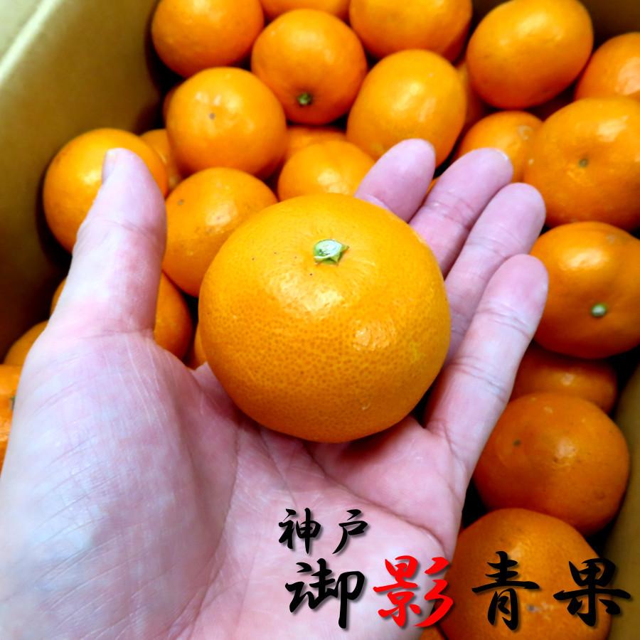 みかん 甘い 5kg S M サイズ 和歌山 赤秀品 2024 ギフト 通販 みかん 甘い 5kg S M サイズ 和歌山 赤秀品 2024 ギフト 通販