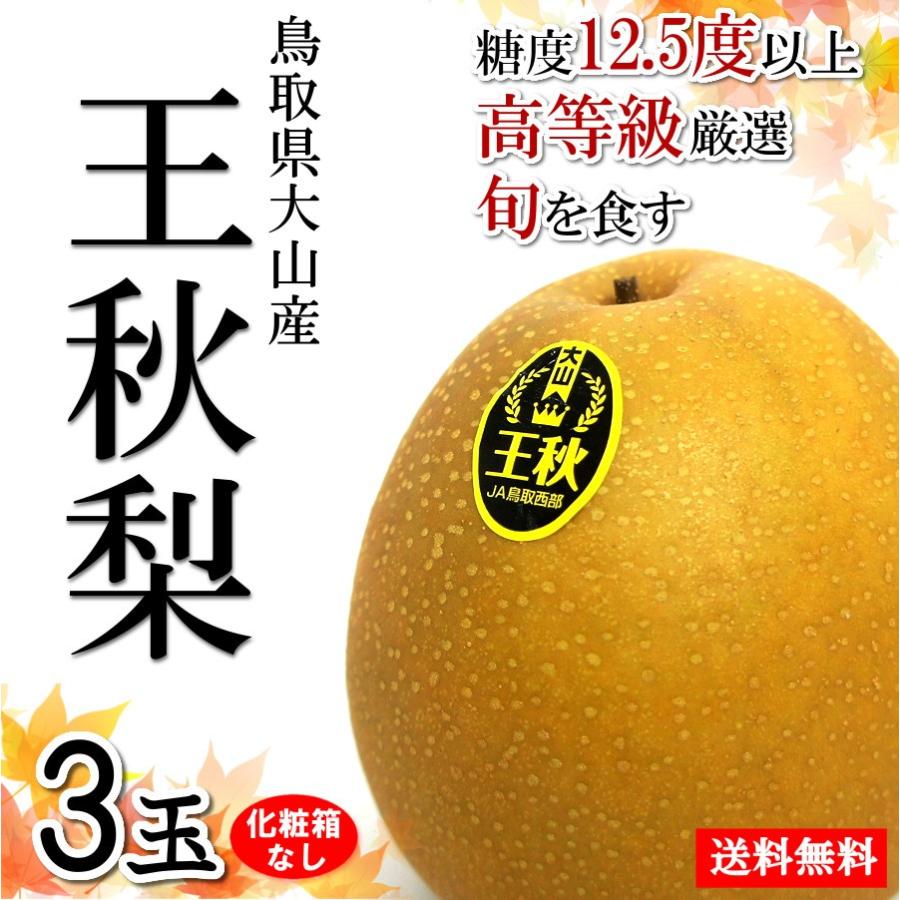 お試し 3玉】梨 甘い 王秋 鳥取県産 ナシ 少量 赤秀 通販 高糖度